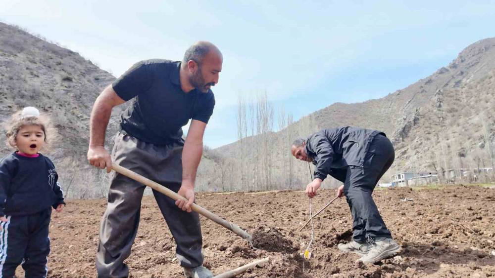Şırnaklı Çiftçi Devlet Desteğiyle 25 Dönüm Arazisine Meyve Fidanı Dikti