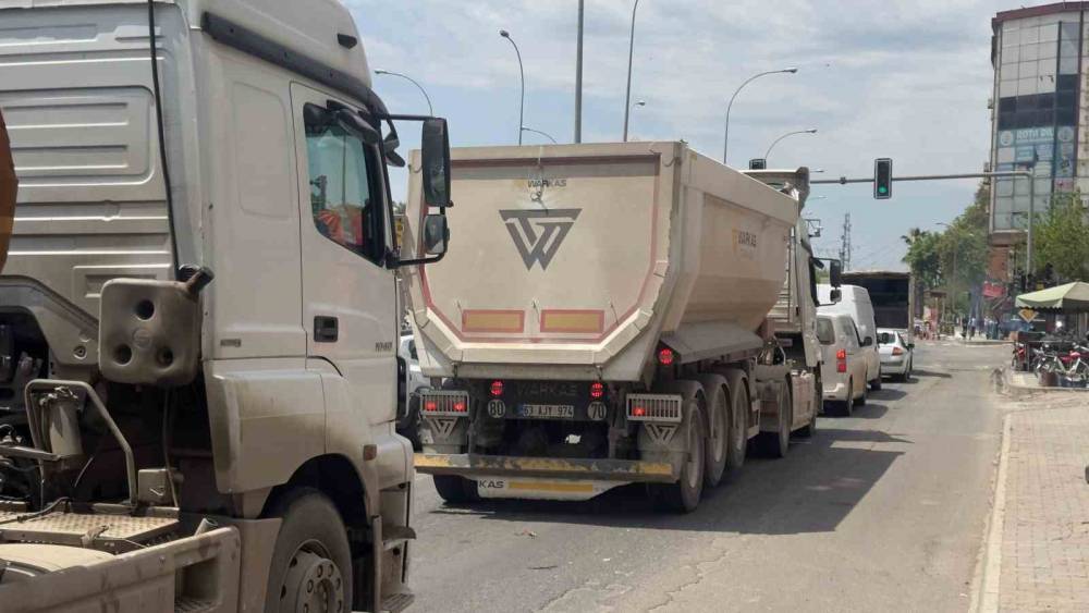 Kırmızı Işıkla Birlikte Kumruların Ziyafeti Başlıyor