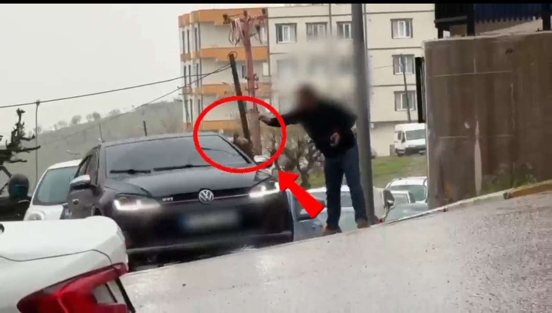 dbadv.jpg