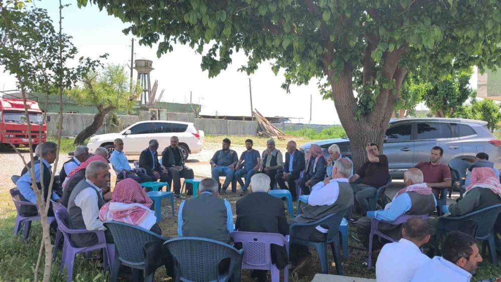 Şırnaklı Göçerlerden Dayanışma Örneği: Yüzlerce Koyun Kırkıldı