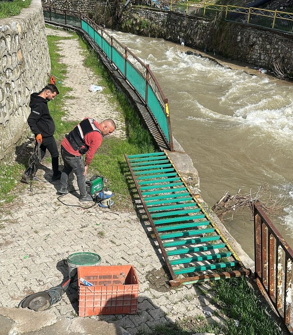 aa-20260519-41429773-41429770-ul.jpg