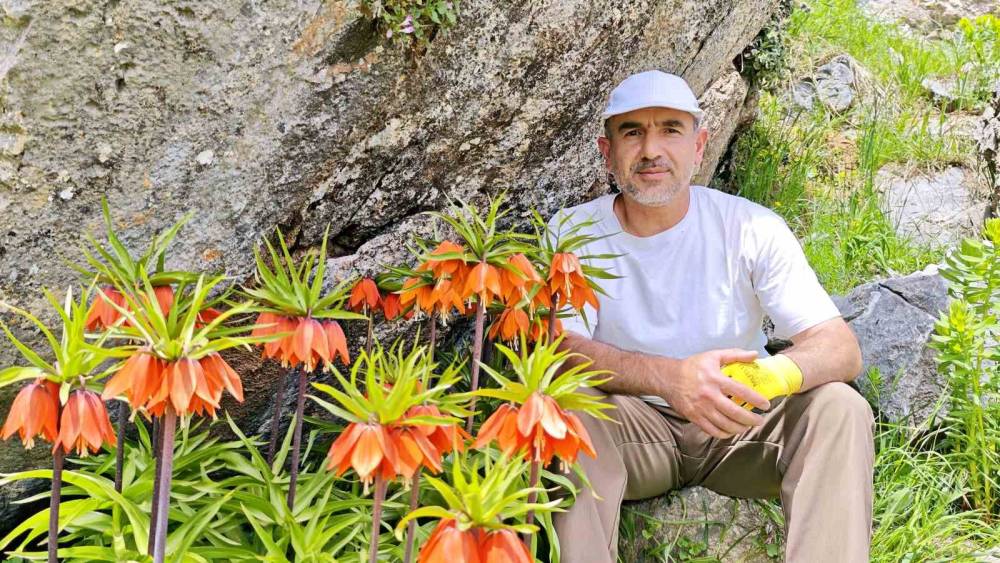 Bu Laleleri Koparmanın Cezası 700 Bin Lira