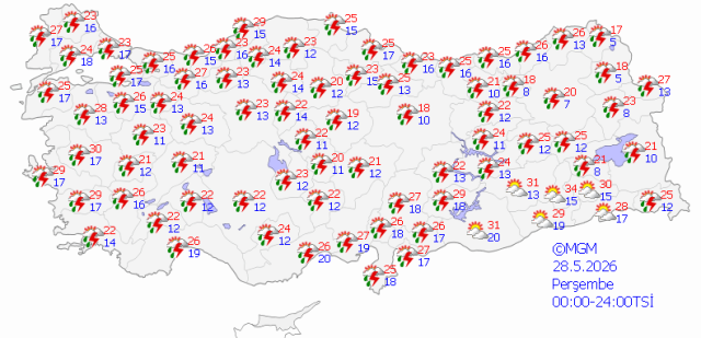 28.jpg