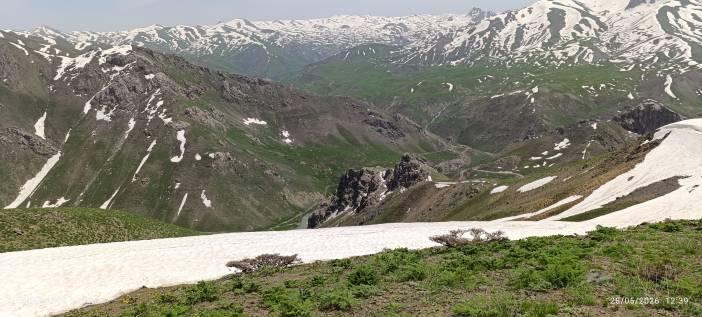 img-20260528-123902-jpg.jpeg