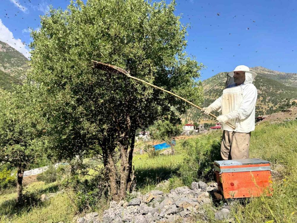 Şırnak’ta Bu Yıl Arılar İçin Bereketli Geçiyor