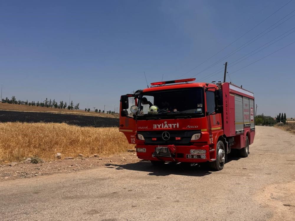 aw735199-02.jpg