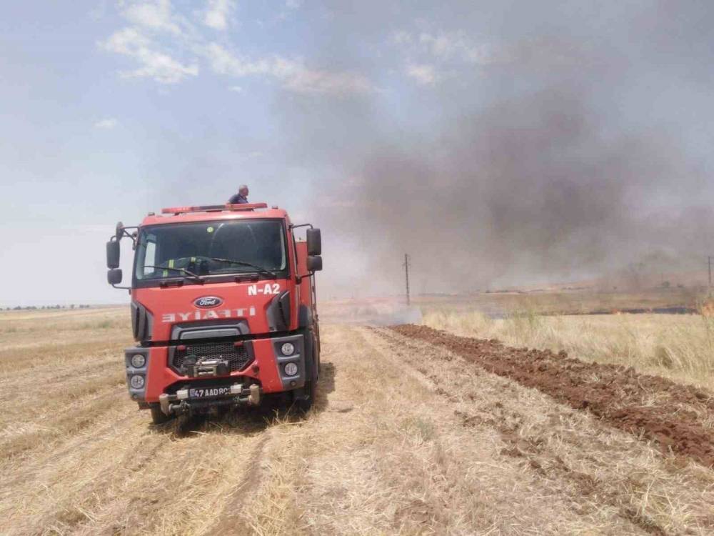 Mardin’de Anız Yangını Söndürüldü