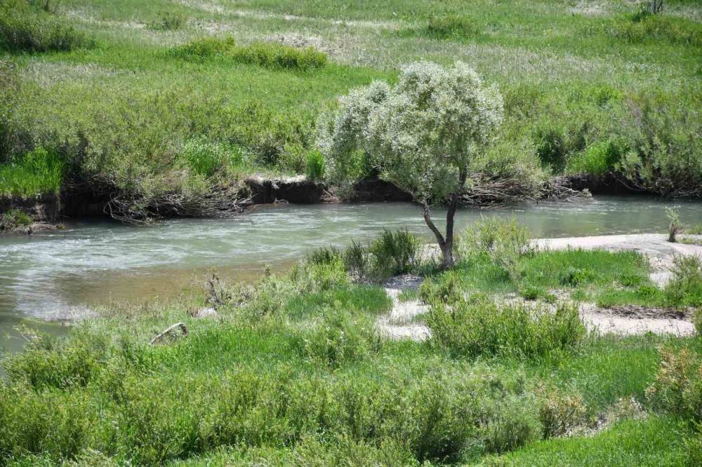 40 Kilometre Yoldan Şırnak'a Geldi, Gördüğü Manzara Karşısında Hayran Kaldı