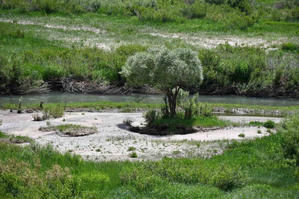 40 Kilometre Yoldan Şırnak'a Geldi, Gördüğü Manzara Karşısında Hayran Kaldı