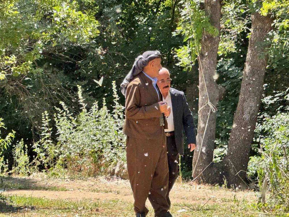 Şırnak'ta Kavak Ağaçlarından Dökülen Polenler Köyü Beyaz Örtüyle Kapladı