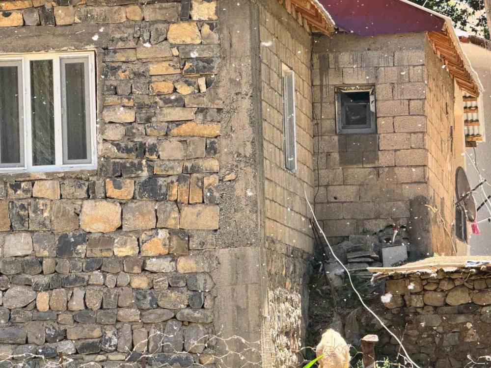 Şırnak'ta Kavak Ağaçlarından Dökülen Polenler Köyü Beyaz Örtüyle Kapladı