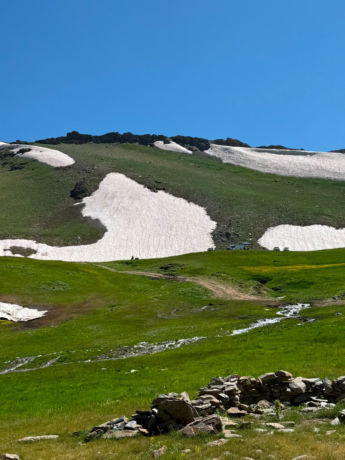 d09c5215-9033-4266-8100-337359df216e.jpg
