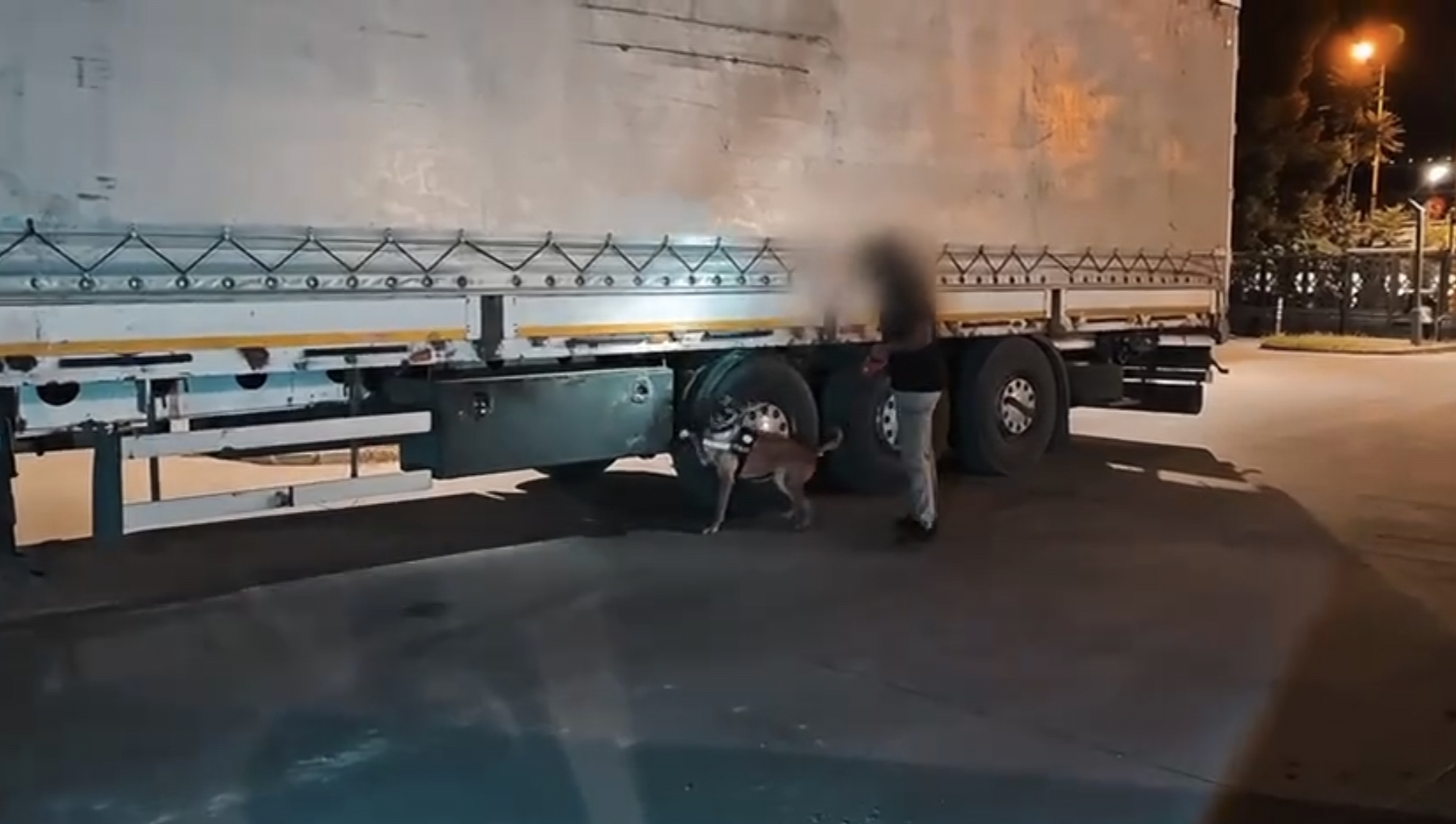 7474848494994.jpg