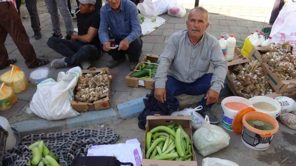 Yaz Ayı Geldi: Bostanlarda "Trözi" Mesaisi