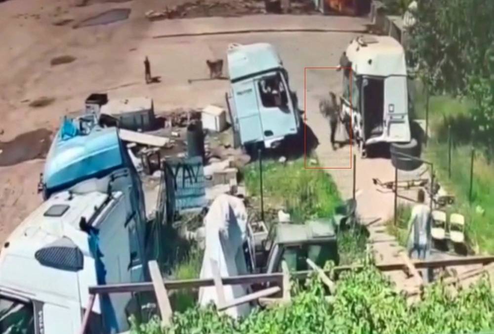 Silopi'de Başıboş Köpekler Önce Küçük Çocuğa Şimdi De Yaşlı Adama Saldırdı