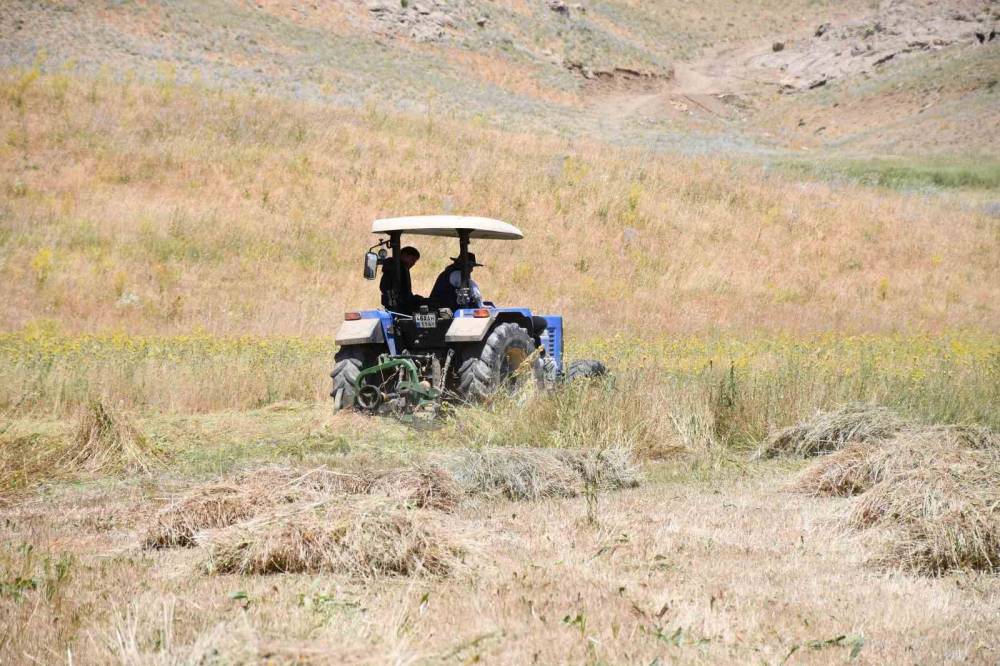 Şırnak Yaylalarında Kış Hazırlıkları Başladı