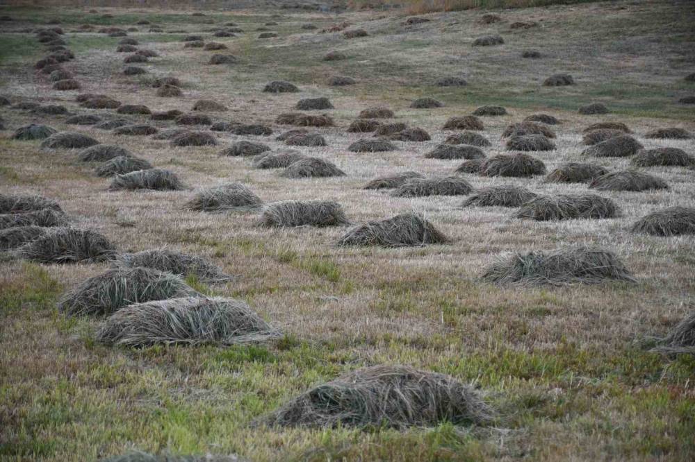 Şırnak Yaylalarında Kış Hazırlıkları Başladı