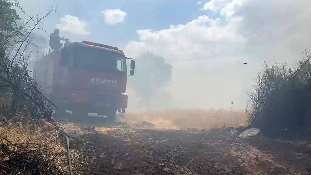 Diyarbakır’da Örtü Ve Orman Yangınında Geniş Alan Zarar Gördü