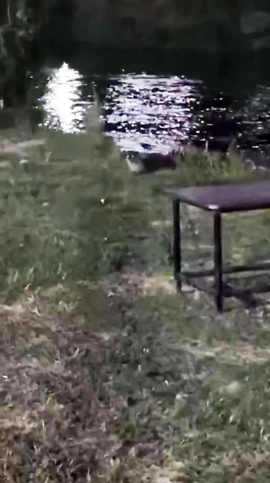 20260909aw784588-0.jpg