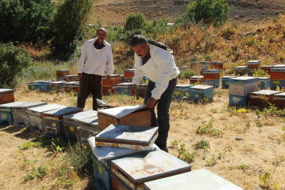 Şırnak Dağlarından Londra’ya Uzanan ’Altın’ Hikaye