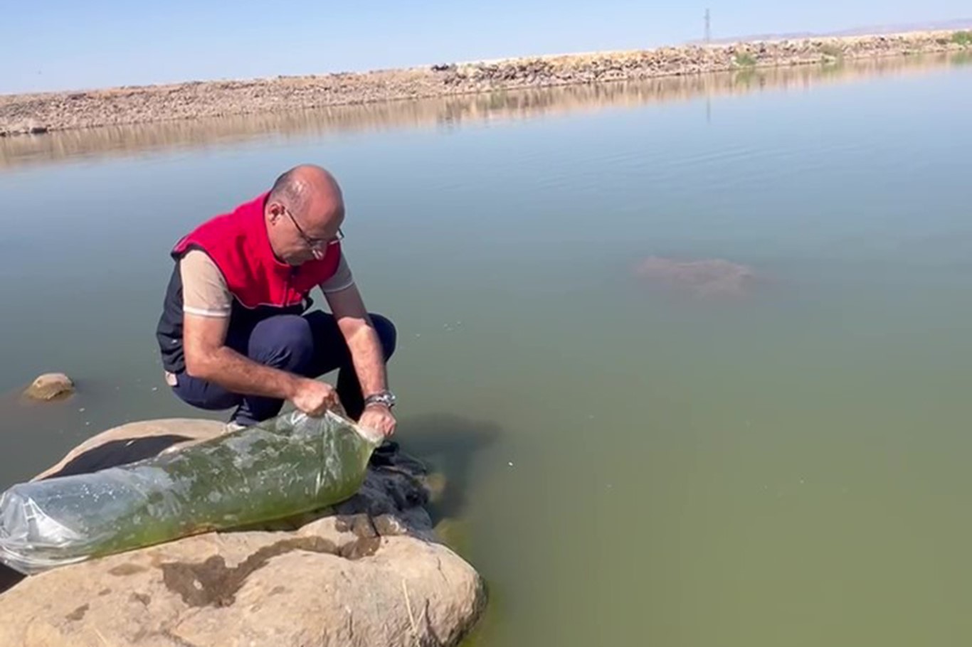 asfadgad.jpg