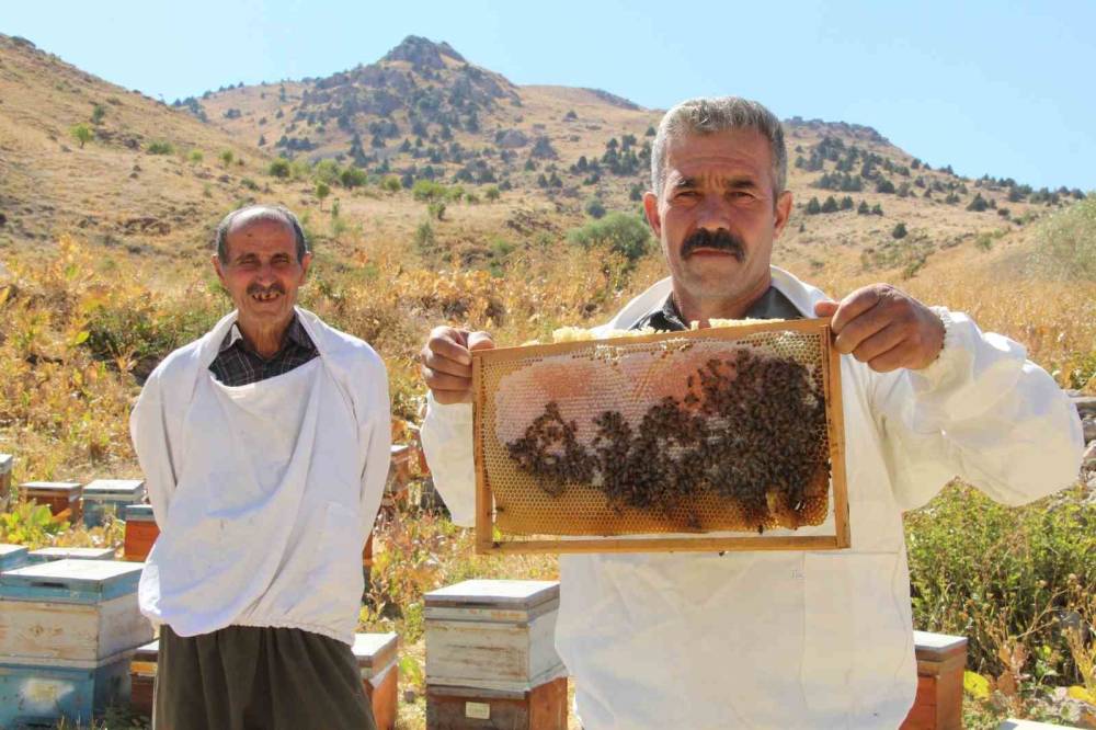 Şırnak’ın Dağlarında Bal Bereketi: Arıcılar Rekor Hasada Hazırlanıyor