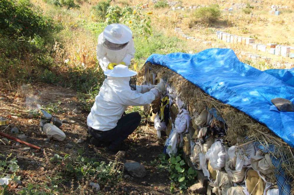 Şırnak’ın Dağlarında Bal Bereketi: Arıcılar Rekor Hasada Hazırlanıyor