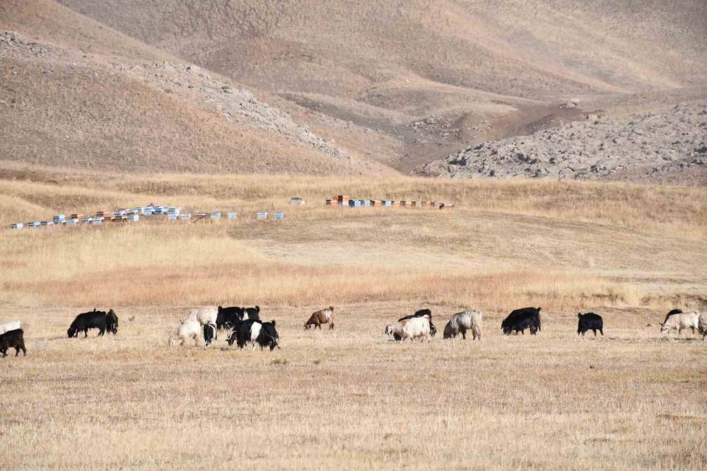 Beytüşşebap'ta yağışlar yerini sise bıraktı