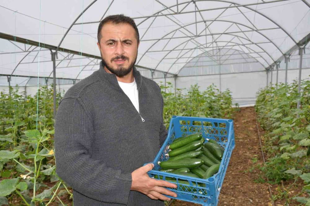 Devletten Aldıkları Yüzde 50 Hibe İle Ailelerin Kurduğu Seralar Gelir Kaynakları Oldu
